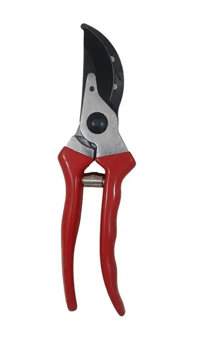 Pruning Shear_2