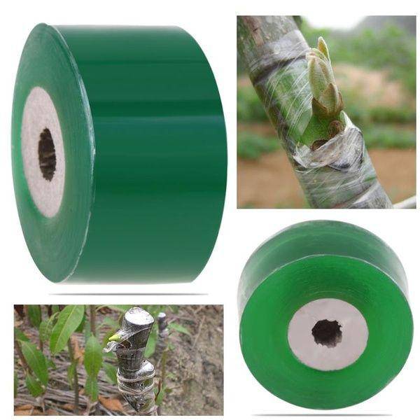 2CM x 100M Grafting Tape_0