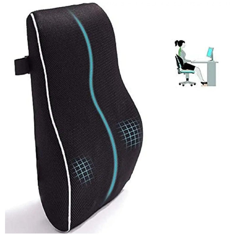 ErgoComfort Lumbar Support Pillow_1