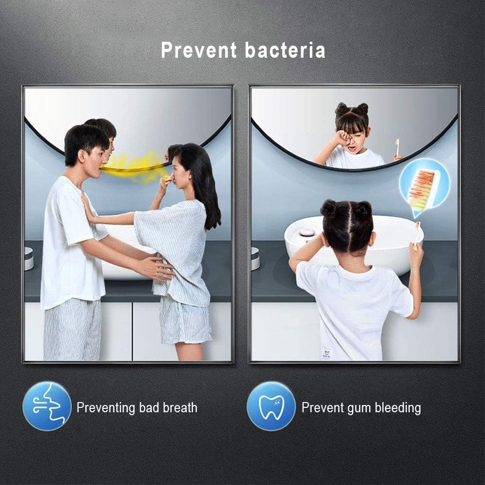 Perretta UV Toothpaste Dispenser